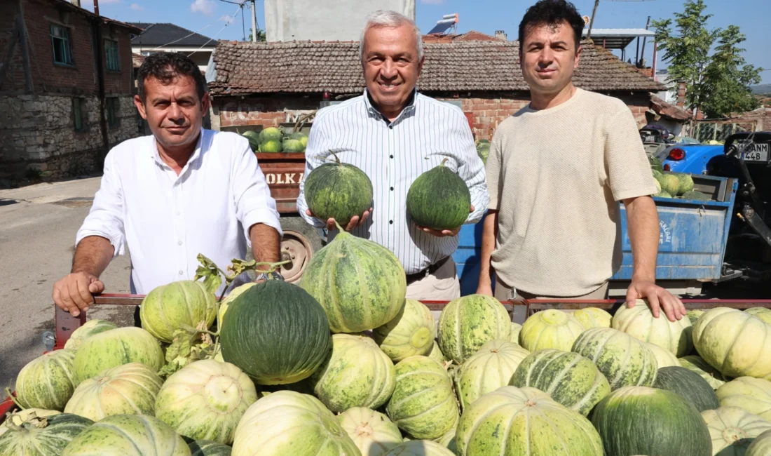 Bursa’nın Nilüfer ilçesi Konaklı Mahallesi’nde kavun üreticilerini ziyaret eden Nilüfer