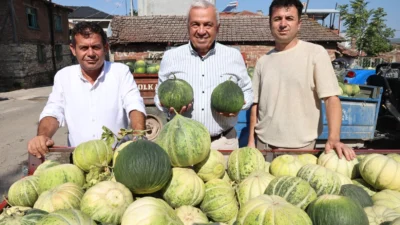 Bursa’nın Nilüfer ilçesi Konaklı Mahallesi’nde kavun üreticilerini ziyaret eden Nilüfer