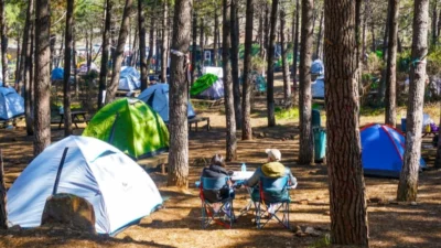 Doğayla iç içe konumu ve temiz havasıyla dikkat çeken Ünye