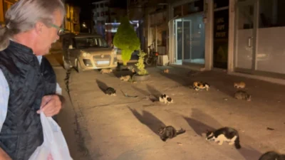 Düzce’nin Nusrettin Mahallesi’nde yaşayan Veysel Kaya, yıllardır mahallesindeki sahipsiz sokak