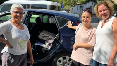 İzmir Narlıdere Belediyesi Veteriner İşleri Müdürlüğü ekipleri, sokakta yaşayan sahipsiz