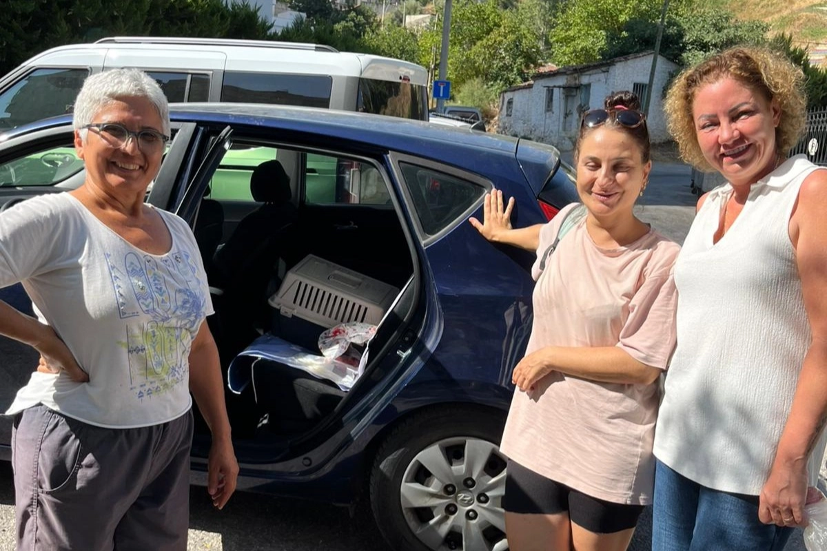 İzmir Narlıdere Belediyesi Veteriner İşleri Müdürlüğü ekipleri, sokakta yaşayan sahipsiz