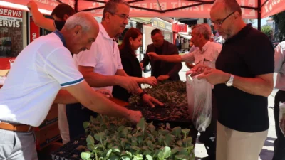 Kocaeli’de İzmit Belediyesi, kent genelinde tarımsal üretimi teşvik etmek ve