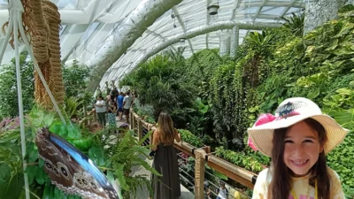 Konya’nın gözde turistik mekanlarından biri olan Tropikal Kelebek Bahçesi, her