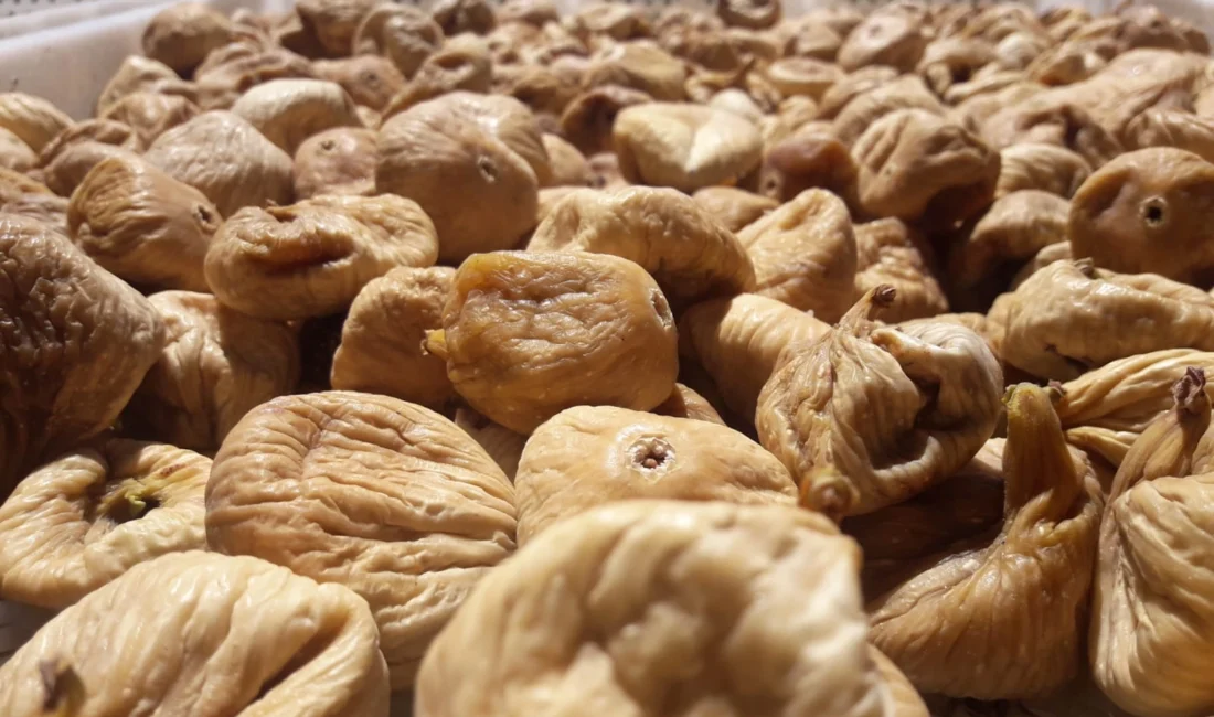 Cennet meyvesi kuru incirde gıda güvenliğini sağlamak, kurutma sırasında toprakla