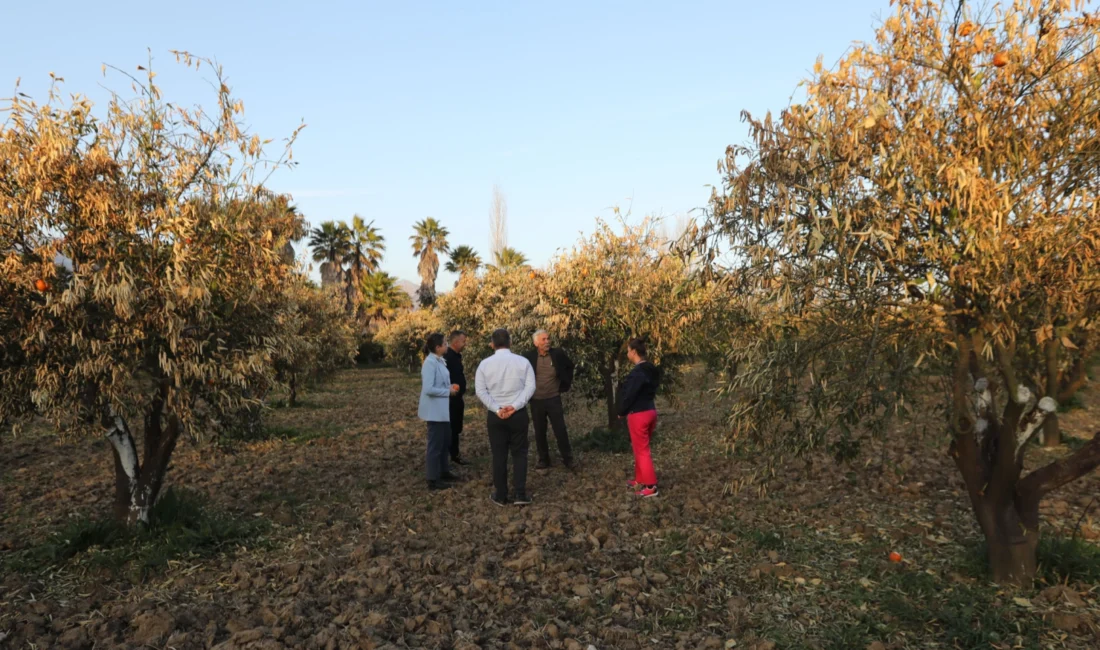 Muğla Planlama Ajansı’nın (MUPA) “Çiftçilerin Gözünden Tarımsal Sürdürülebilirlik” raporu, Muğla,