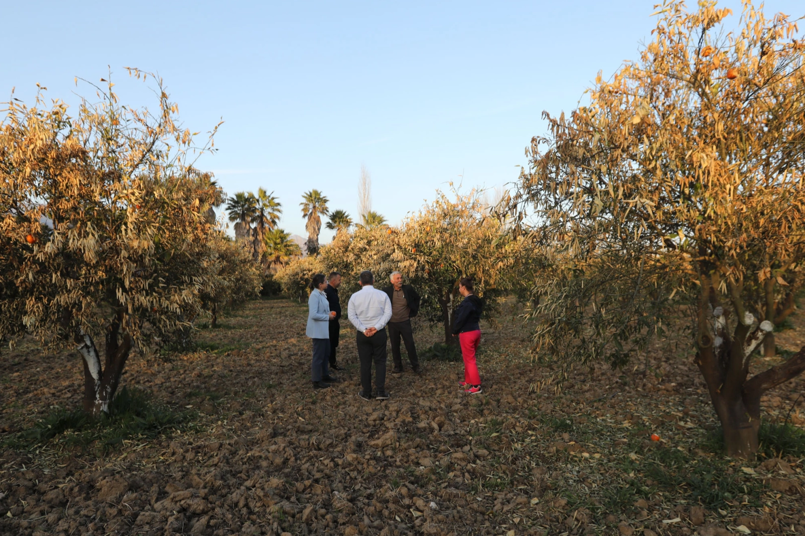 Muğla Planlama Ajansı’nın (MUPA) “Çiftçilerin Gözünden Tarımsal Sürdürülebilirlik” raporu, Muğla,