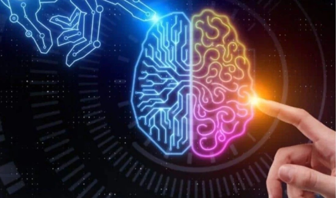 Yükseköğretim Kurulu (YÖK), Türkiye’nin önde gelen üniversitelerinden uzman akademisyenlerin katılımıyla