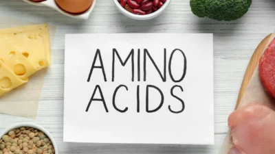 Amino asit desteğinin zamanlaması, emilim hızı, öğün içeriği ve gün