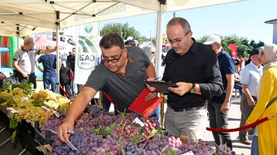 Bursa Osmangazi Belediyesi, ilçede yetişen bir birinden değerli tarım ürünlerine