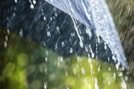 Meteoroloji, Doğu Karadeniz ve Ordu çevresinde kuvvetli, Rize-Artvin kıyılarında çok