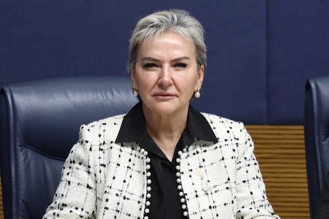 İstanbul Milletvekili Nimet Özdemir, Türkiye’de 2016 yılından beri uygulanan kalıcı