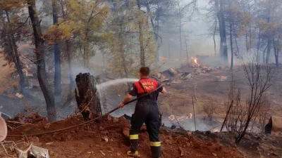 Muğla’nın Milas ve Köyceğiz ilçelerinde çıkan orman yangınlarına, Muğla Büyükşehir