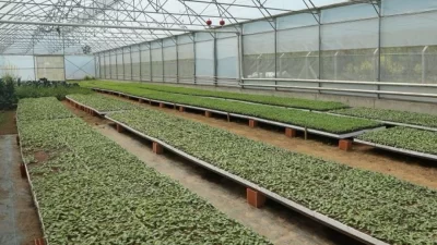 Ordu Büyükşehir Belediyesi üretimi teşvik etmek amacıyla 6 yılda 4