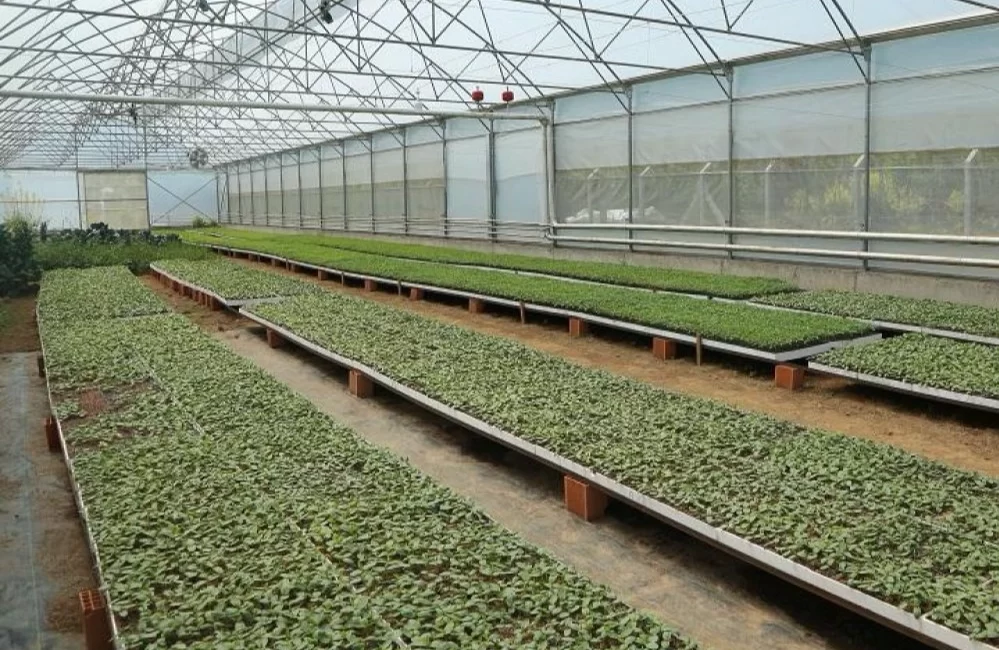 Ordu Büyükşehir Belediyesi üretimi teşvik etmek amacıyla 6 yılda 4