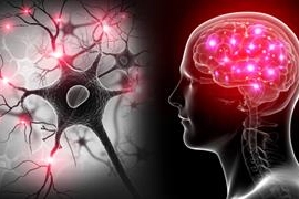 Bahçeşehir Üniversitesi’nden Dr. Öğr. Üyesi Günet Eroğlu’nun makalesi, EEG ve