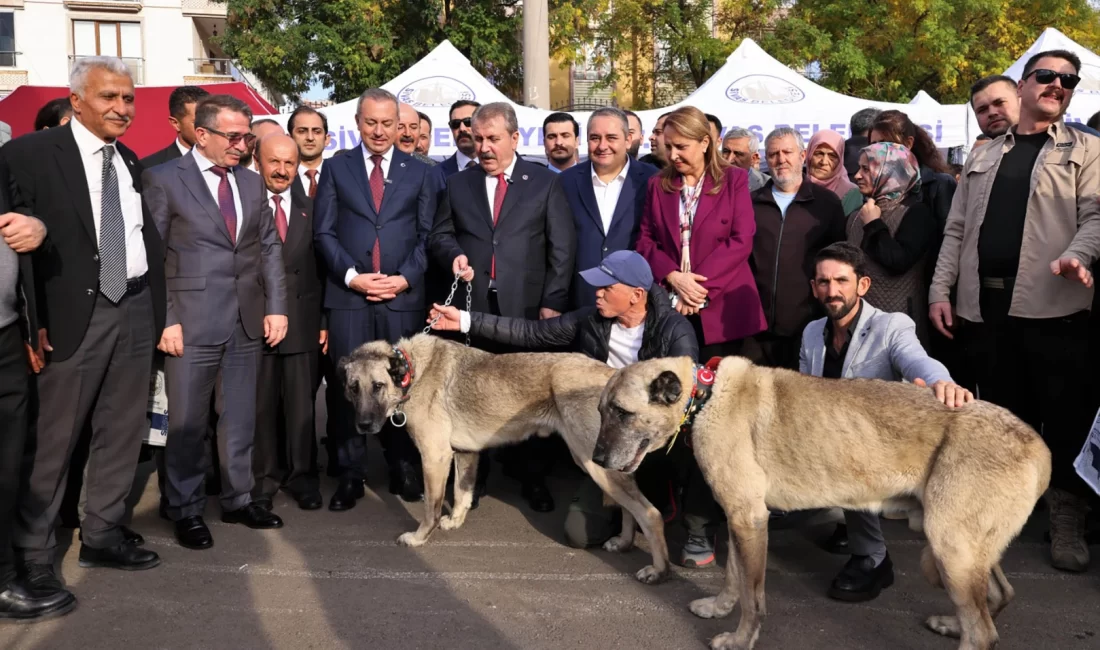 Ankara’da Keçiören Belediyesi’nin ev sahipliğinde Ankara Sivaslı Dernekler Federasyonu (ASİDEF)