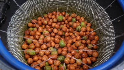 Antalya Büyükşehir Belediyesi, yerelden kalkınma hedefleri doğrultusunda tarımın yoğun olarak