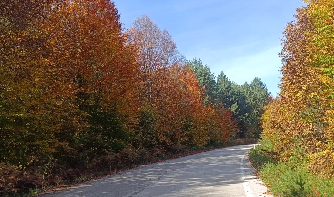 Bilecik’in doğa cenneti Pazaryeri ilçesi, sonbaharın gelişiyle birlikte adeta kartpostallık