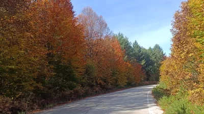Bilecik’in doğa cenneti Pazaryeri ilçesi, sonbaharın gelişiyle birlikte adeta kartpostallık