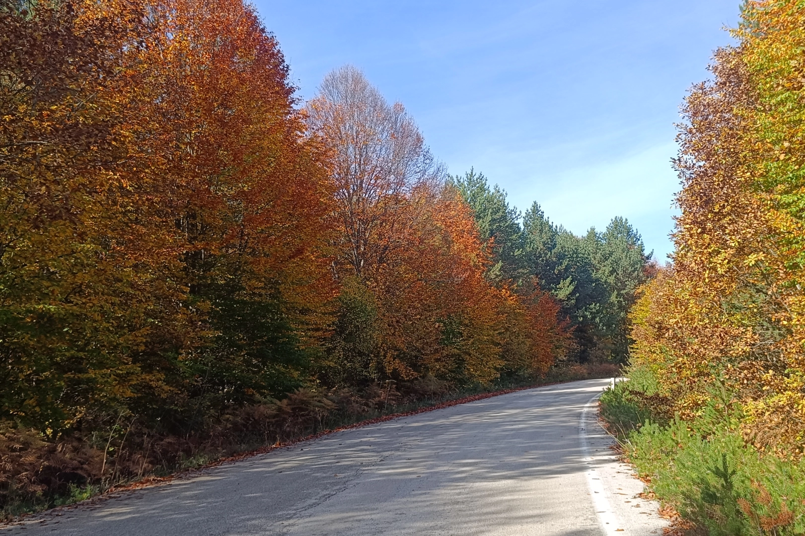 Bilecik’in doğa cenneti Pazaryeri ilçesi, sonbaharın gelişiyle birlikte adeta kartpostallık