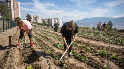 Bornova Belediyesi’nin 6 farklı noktada kurduğu Kent Bostanları’nda 481 kadın,