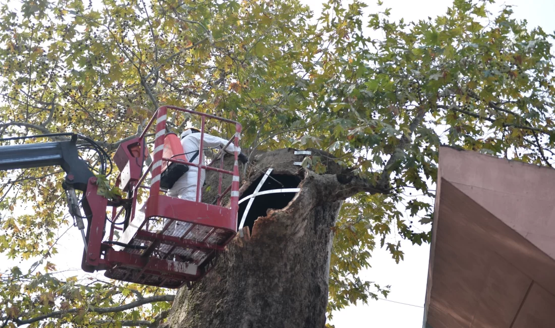 Bursa Ulu Cami’nin avlusunda yer alan ve henüz bilinmeyen bir
