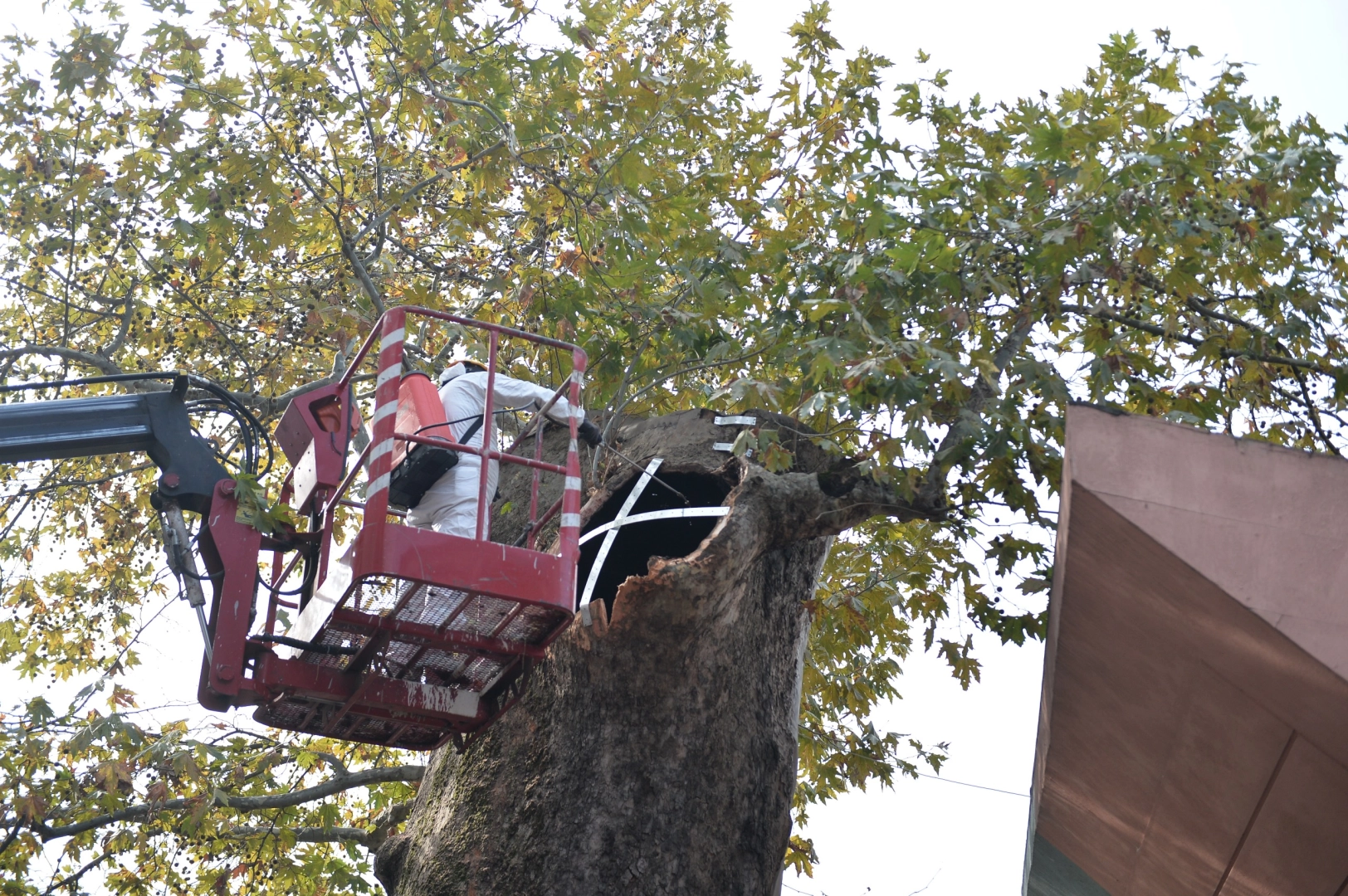 Bursa Ulu Cami’nin avlusunda yer alan ve henüz bilinmeyen bir