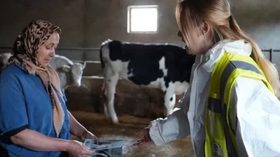 Denizli Büyükşehir Belediyesinin büyükbaş hayvan yetiştiricilerine yönelik başlattığı ücretsiz veteriner