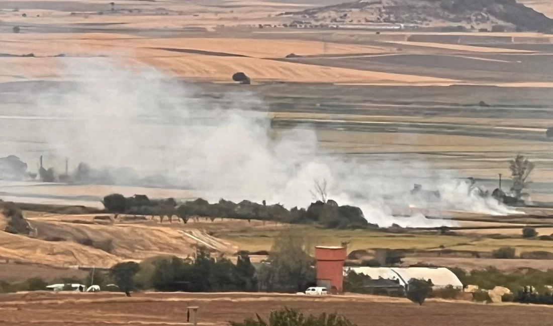 Edirne’nin Keşan ilçesindeki çevre örgütleri, yasak olmasına rağmen yapılan anız