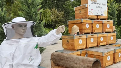 Muğla’nın Menteşe ilçesi, bu yıl ilk kez düzenlenen Çam Balı