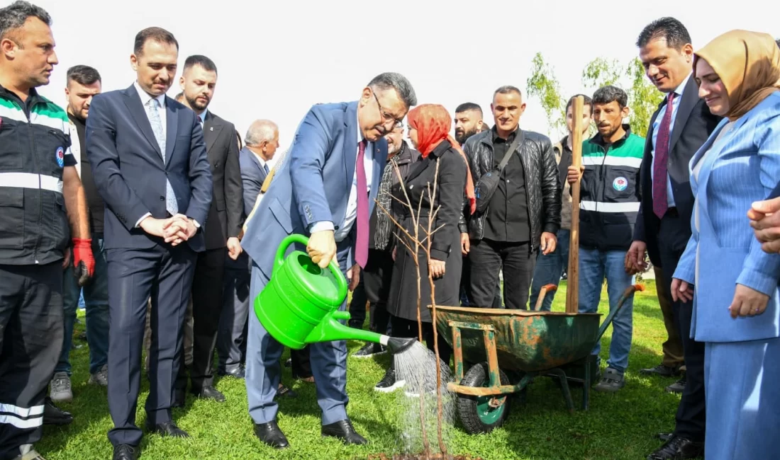 Trabzon’da unutulmaya yüz tutmuş meyve türleri için 37 bin fidan