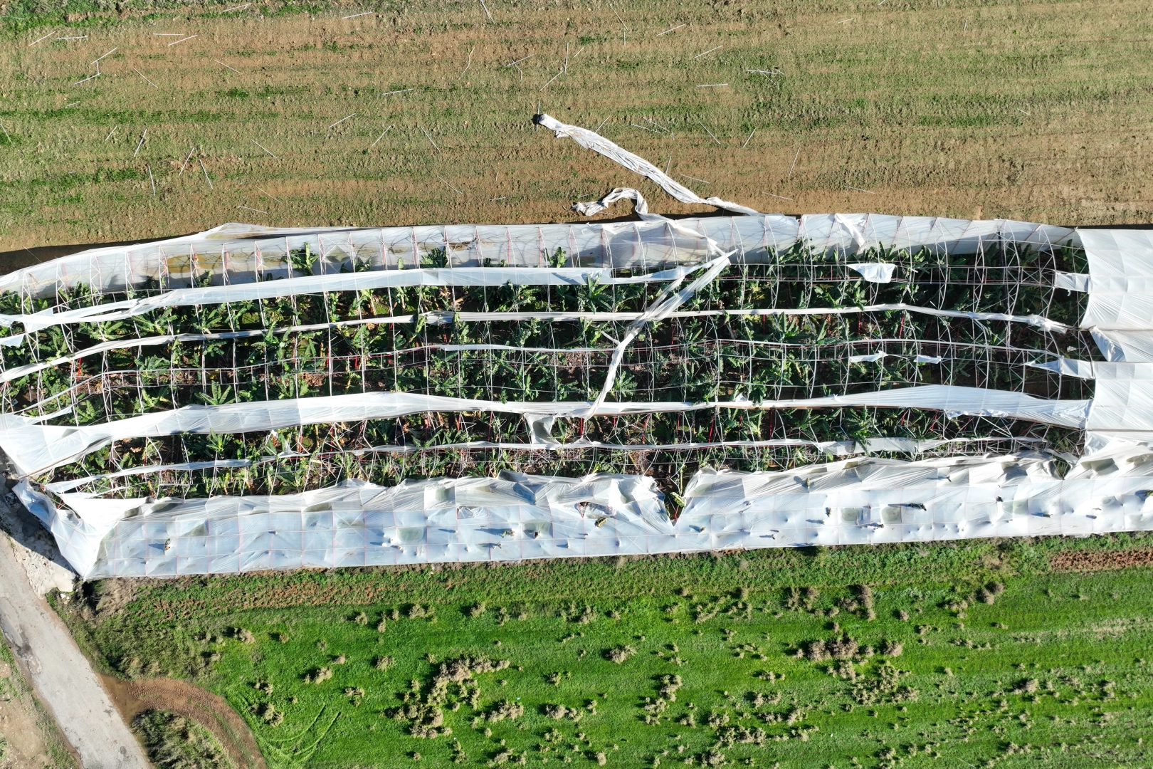 Antalya Büyükşehir Belediyesi, Manavgat’ta 29 Kasım akşamı meydana gelen hortumun