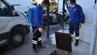 Antalya Büyükşehir Belediyesi Alanya’da vektörel mücadele çalışmaları kapsamındaki uygulamaları şehrin