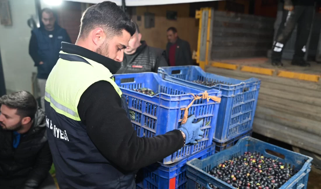Bursa Gemlik Belediyesi, ilçenin en değerli markası olan Gemlik zeytinine