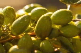 İzmir Büyükşehir Belediyesi, Dünya Kooperatifçilik Günü öncesinde “Kooperatifler Daha İyi