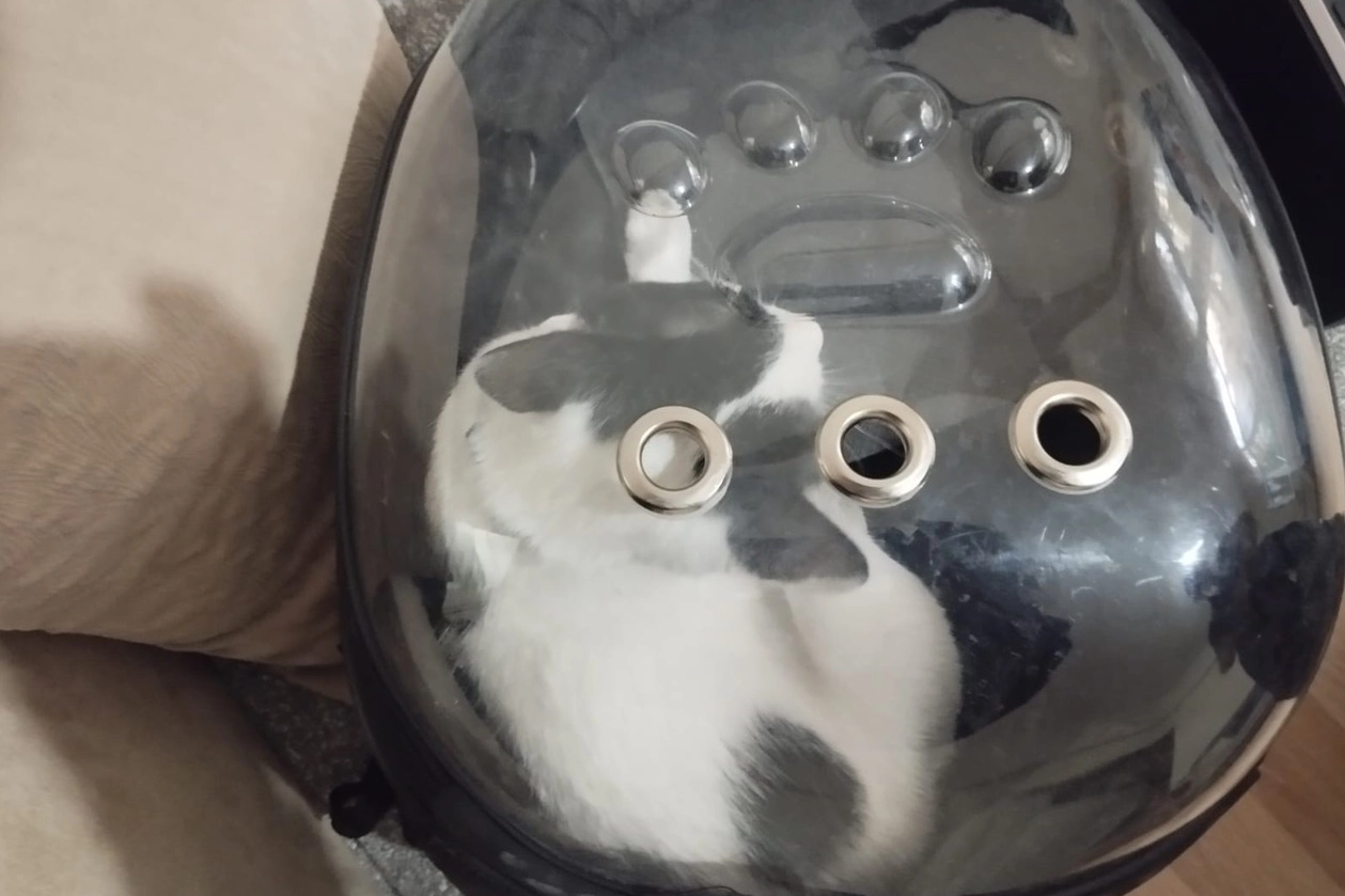 Kayseri Büyükşehir Belediyesi İtfaiye Daire Başkanlığı ekipleri, Melikgazi’de havalandırma boşluğuna