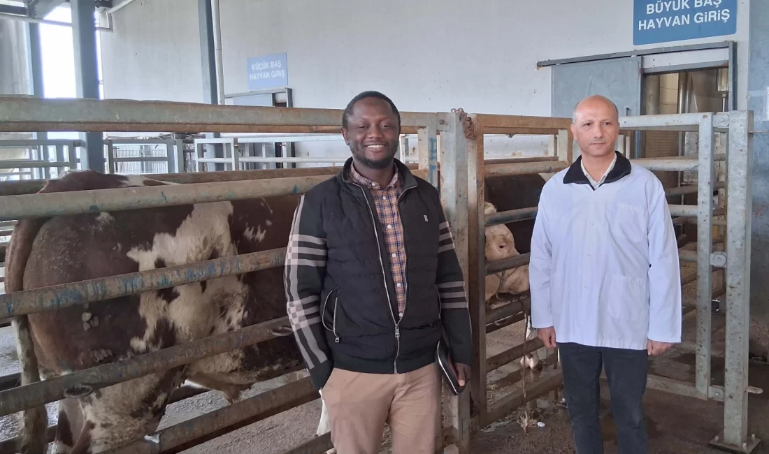 Kocaeli Büyükşehir Belediyesi bünyesinde hizmet veren İzmit Merkez Mezbaha Tesisi,