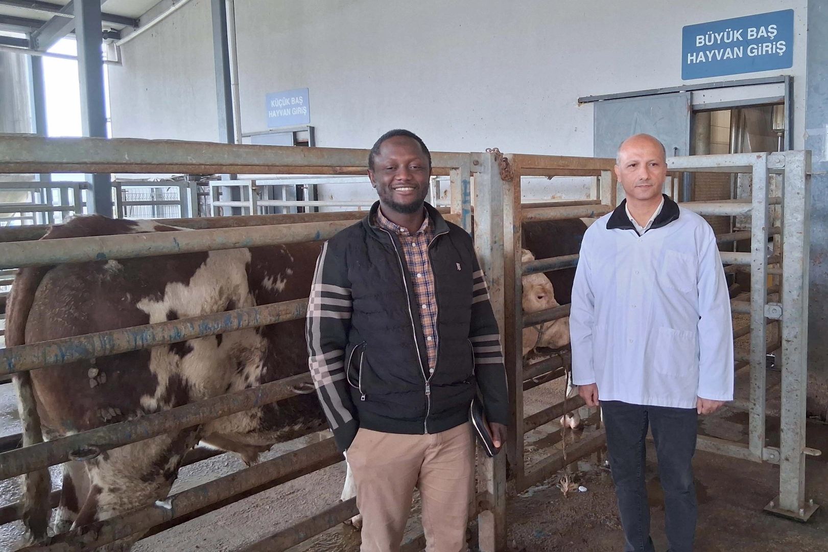 Kocaeli Büyükşehir Belediyesi bünyesinde hizmet veren İzmit Merkez Mezbaha Tesisi,