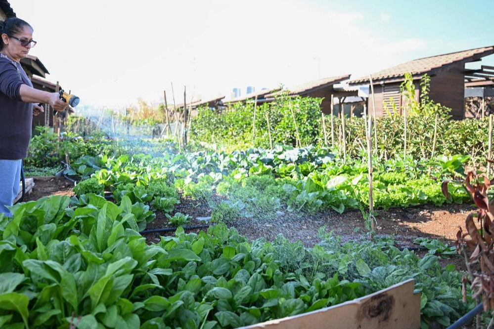 Mersin Büyükşehir Belediyesi’nin Toroslar ilçesinde kurduğu Hobi Parkı’nda kış hazırlıkları