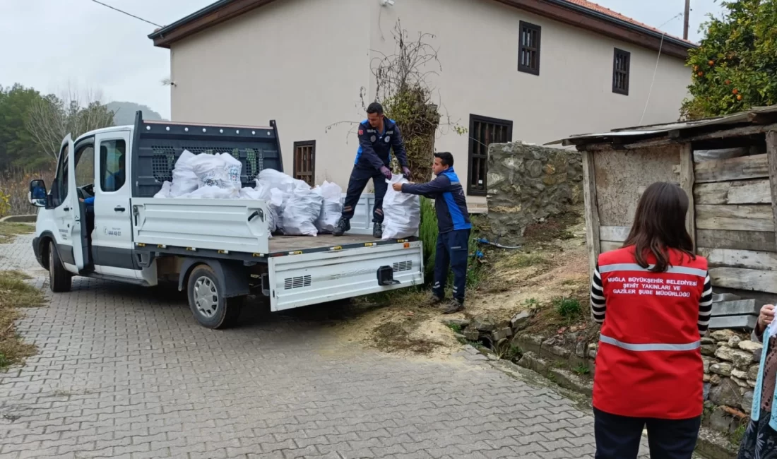 Muğla Büyükşehir Belediyesi park, mezarlık gibi alanlarda gerçekleştirdiği budama, temizlik
